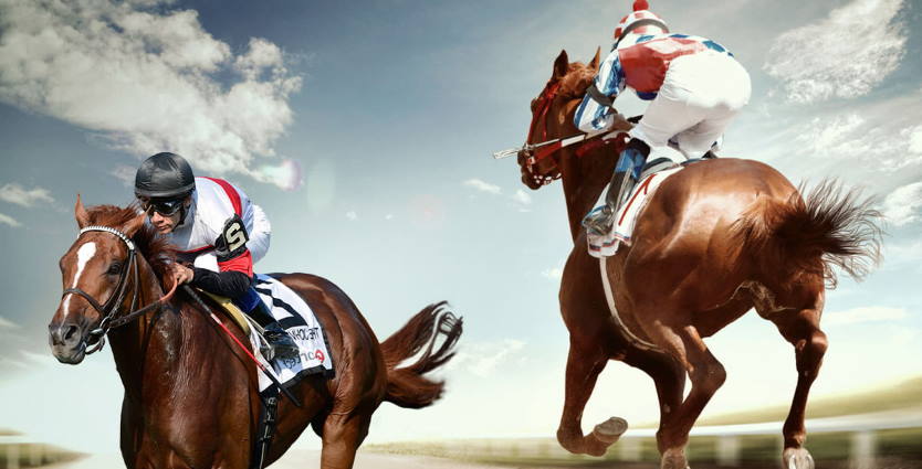 betting on horse racing for beginners