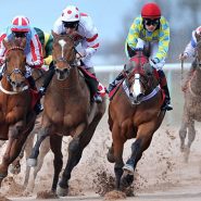 Most straightforward and Efficient Tricks to Bet over the Horse Racing for Beginners